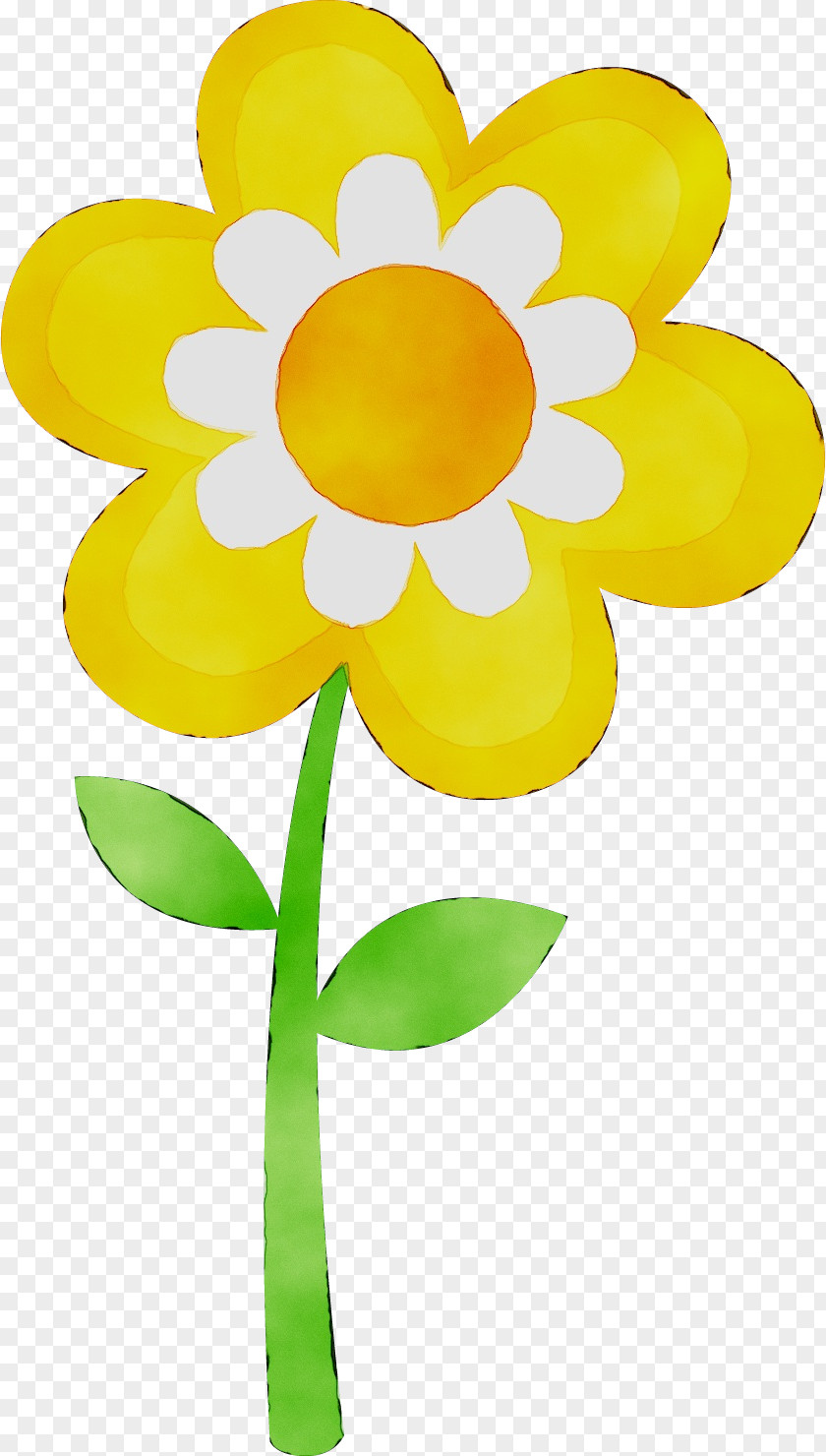 Clip Art Flower Free Content Image PNG