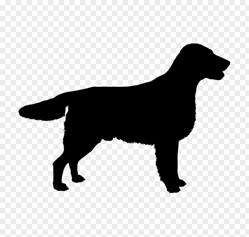 English Springer Spaniel Cocker Dachshund Welsh Jack Russell Terrier PNG