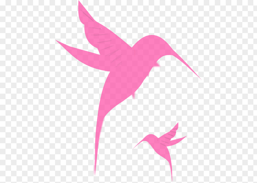 Pink Parrot Black-chinned Hummingbird Stencil Clip Art PNG