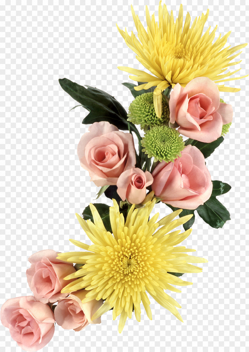 Chrysanthemum Flower Garden Roses PNG