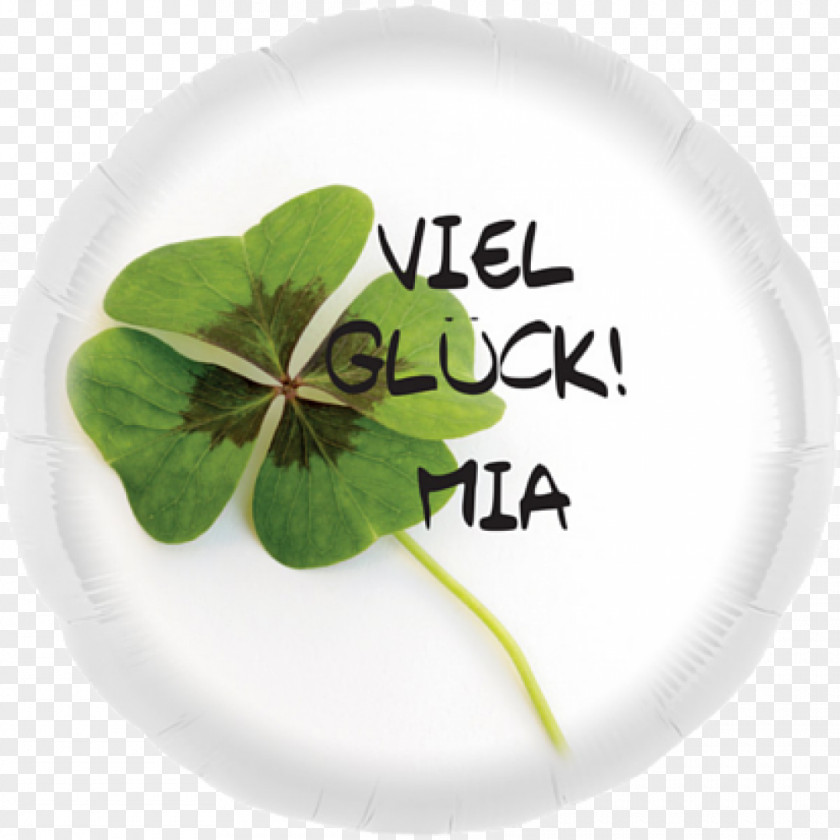 Clover Shamrock Name Text Happiness PNG