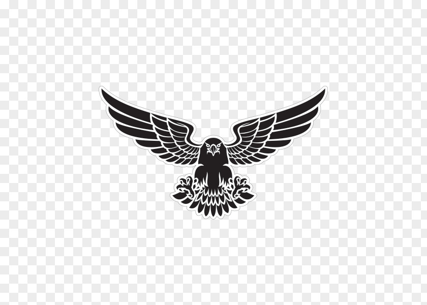 Eagle Drawing PNG
