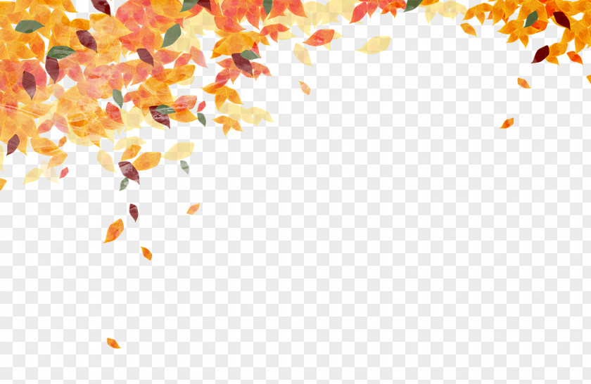 Golden Autumn Leaves Falling Background Leaf Color Clip Art PNG