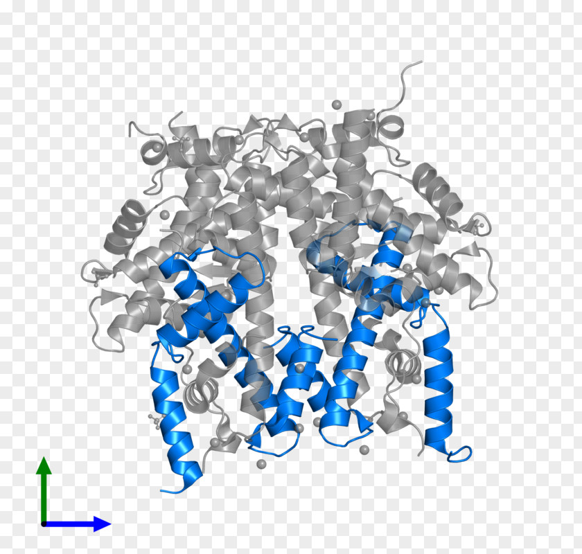 Histone H4 Protein Octamer HIST1H4F PNG
