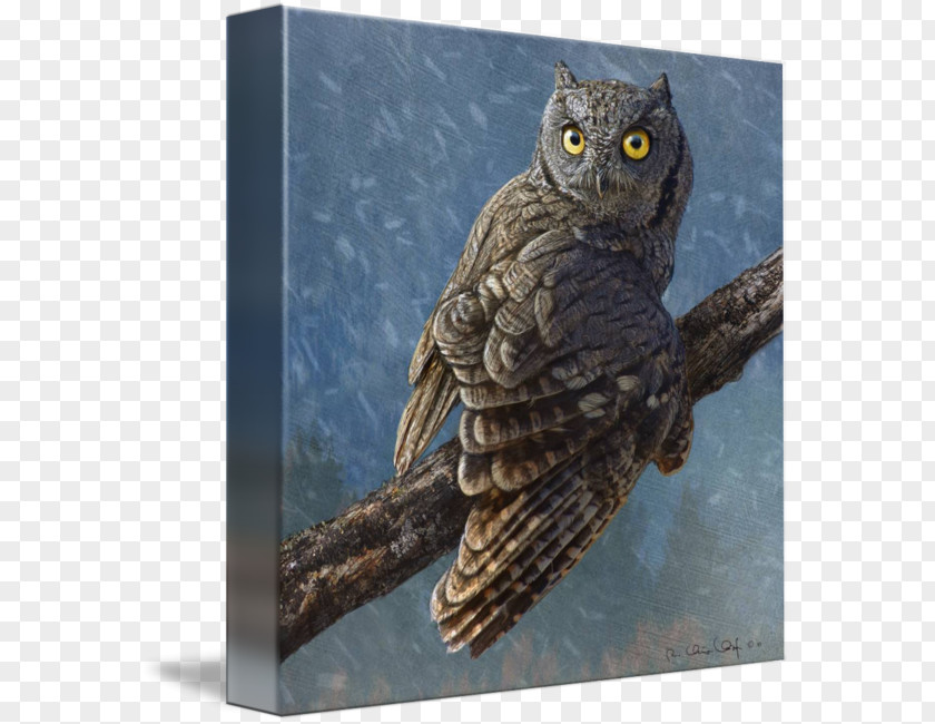Owl Totem Beak Feminine Intuition Age Of Enlightenment PNG