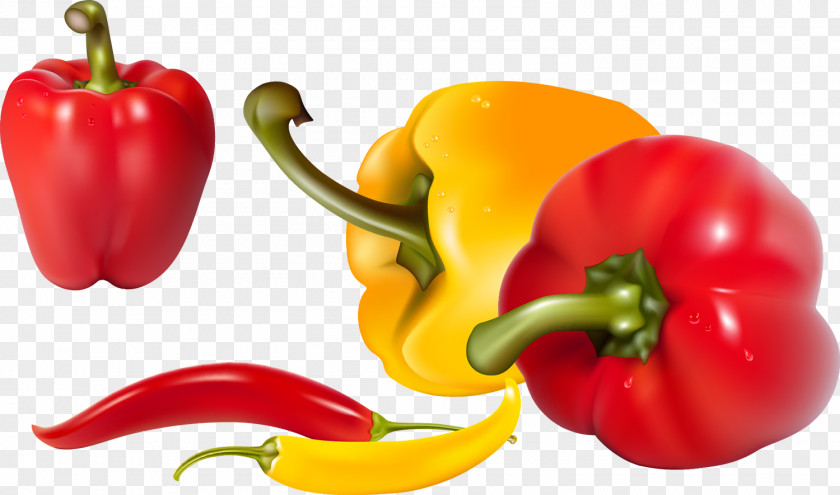 Pepper Aroy-D Bistro Vegetable Clip Art PNG