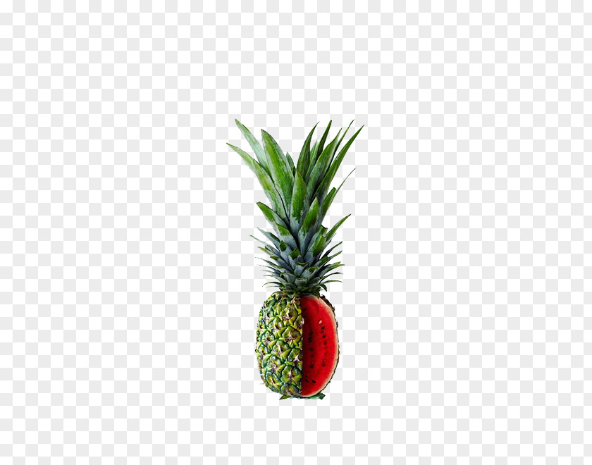 Pineapple, Watermelon Poster Graphic Designer Art Director PNG