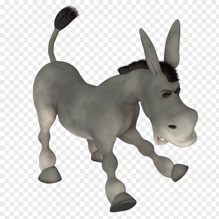 Donkey Mule Hinny Horse Stallion Mare PNG