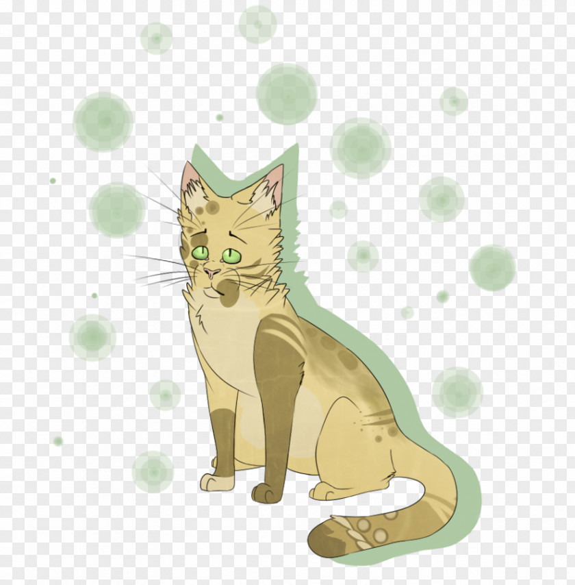 Look Back Kitten Whiskers Tabby Cat PNG