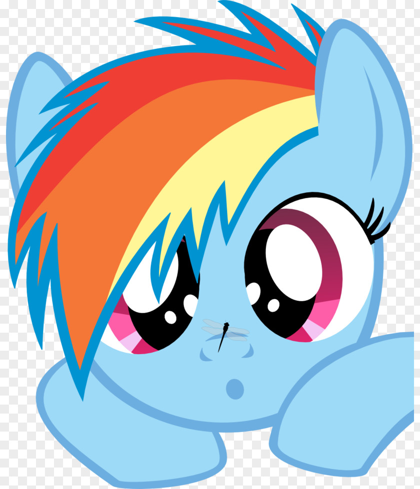 Rainbow Dash My Little Pony Fluttershy PNG