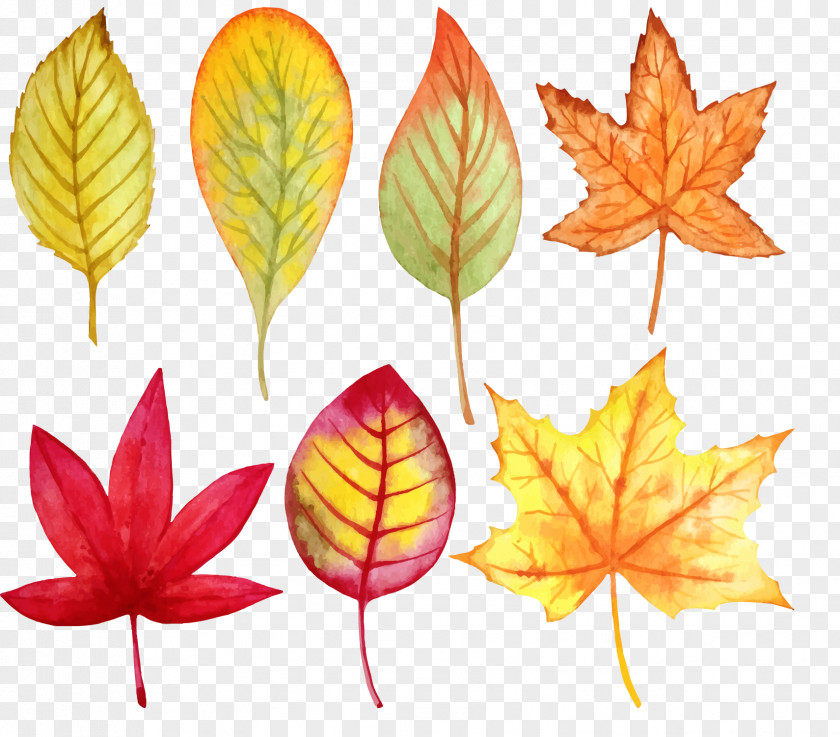 Vector Watercolor Leaves Leaf Painting Autumn PNG