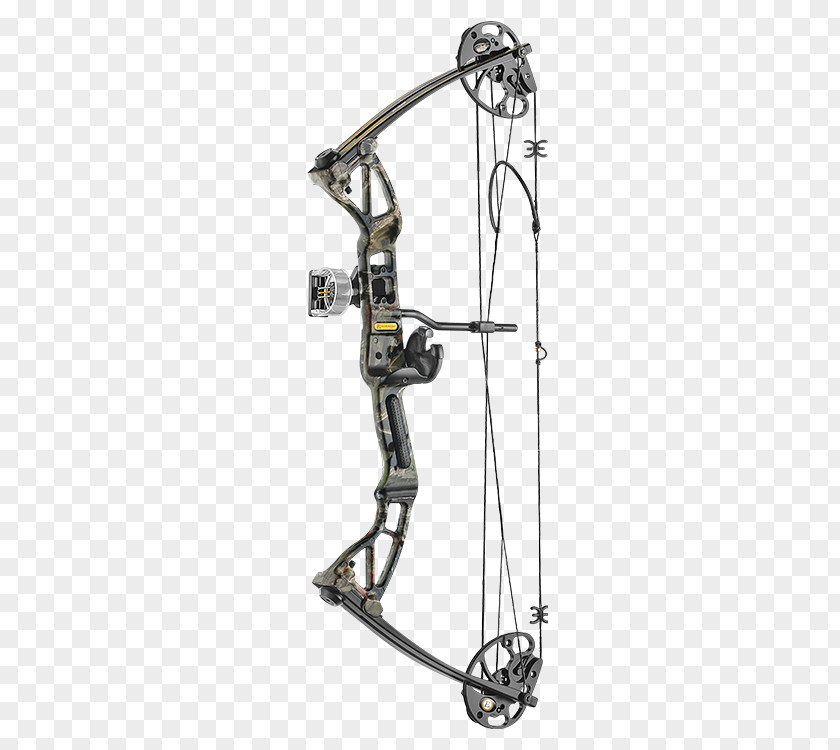 Compound Bows Archery Bow And Arrow Hunting Recurve PNG