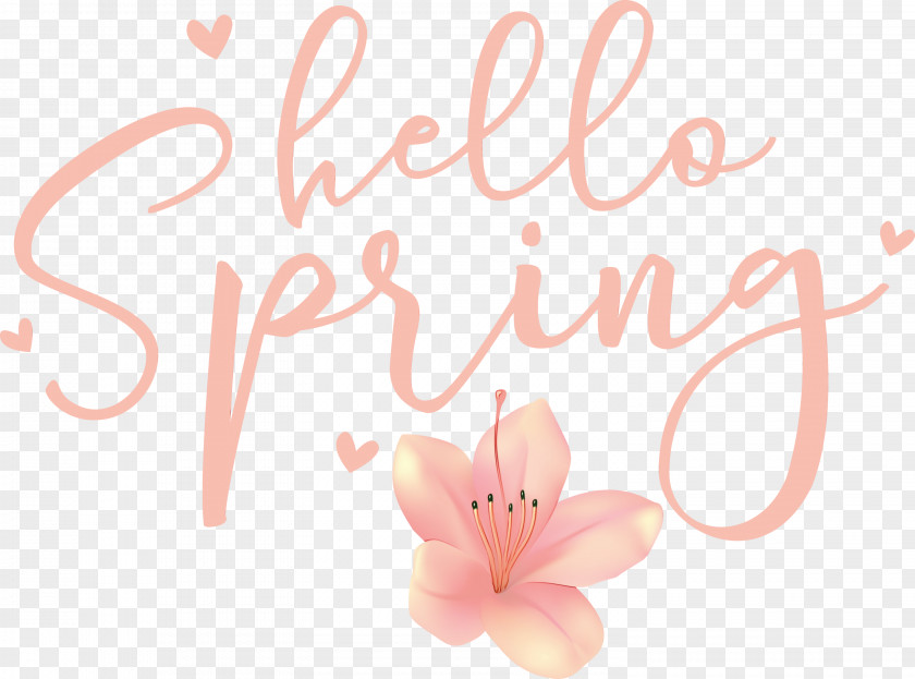 Floral Design PNG