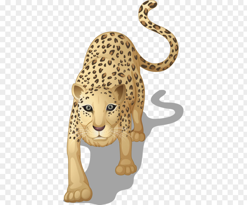 Leopard Big Cat Rescue Royalty-free PNG