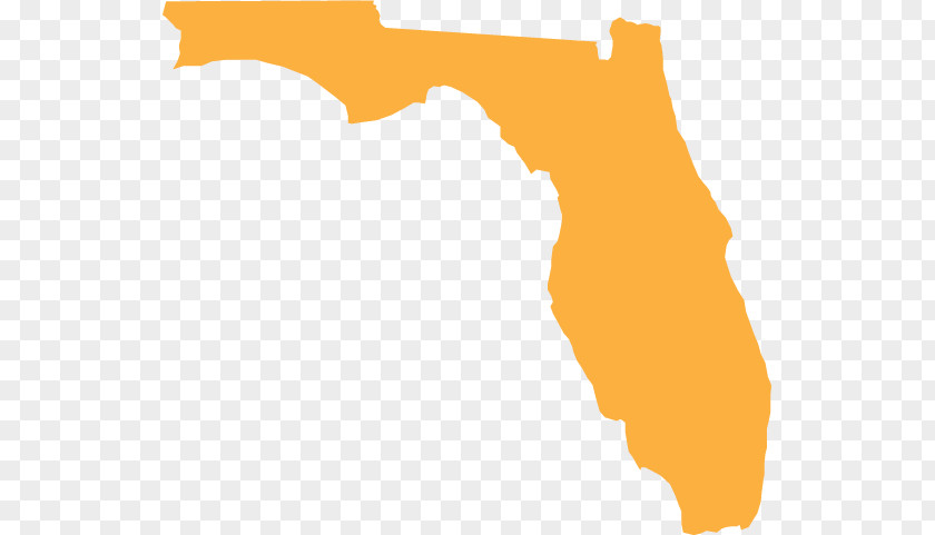 Map Florida Vector PNG