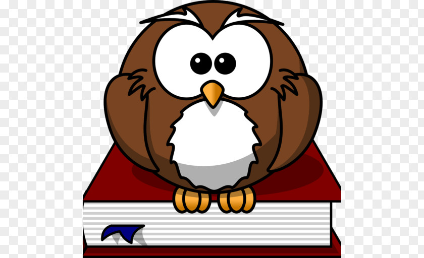 Owl Baby Owls Bird Cartoon Clip Art PNG