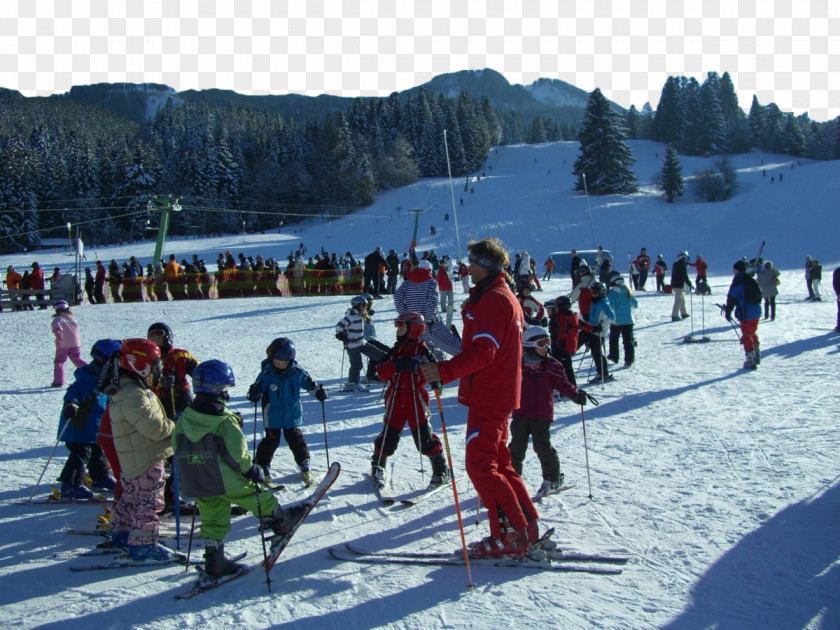 Skiing Ski School Winter Sport Snowboarding PNG