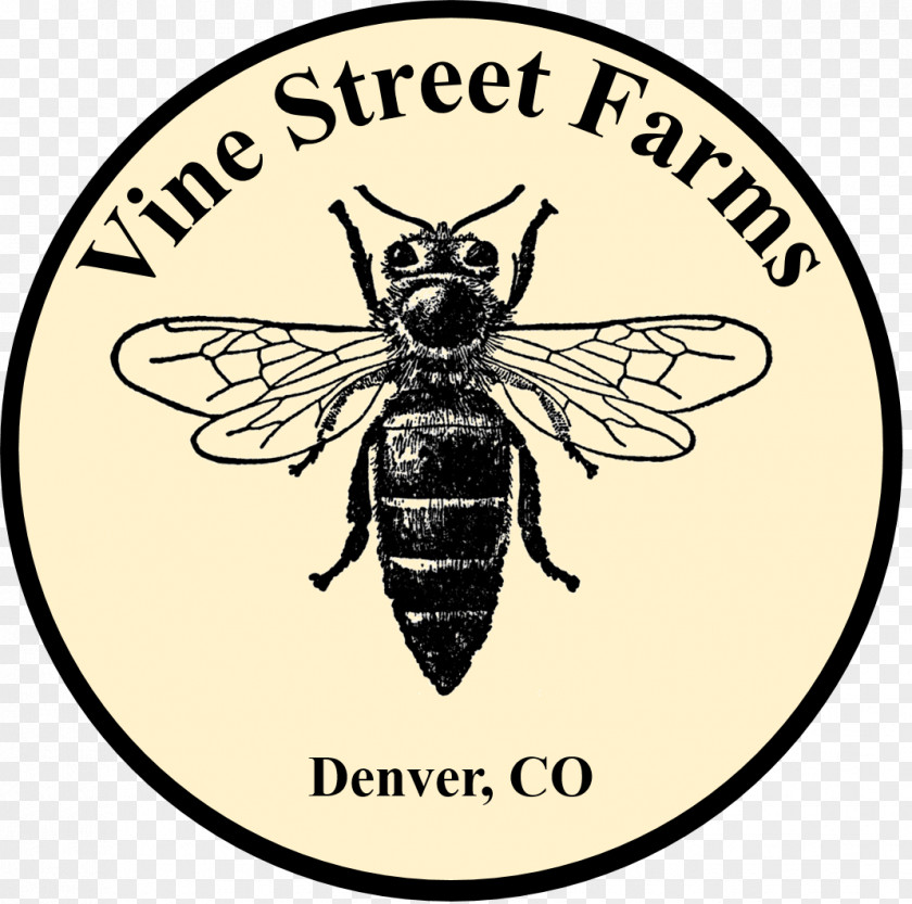 Bee Western Honey Drone Vector Graphics Clip Art PNG