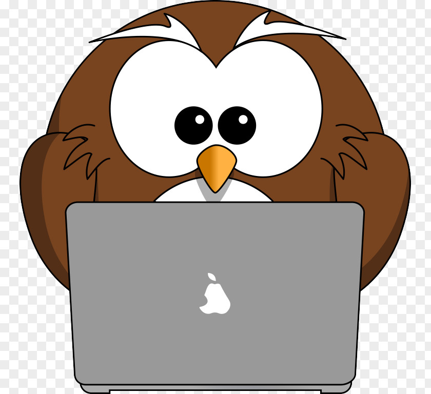 Flightless Bird Cartoon Clip Art Brown PNG