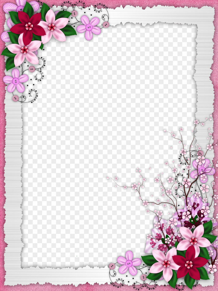 Floral Border Design Flower Picture Frame PNG