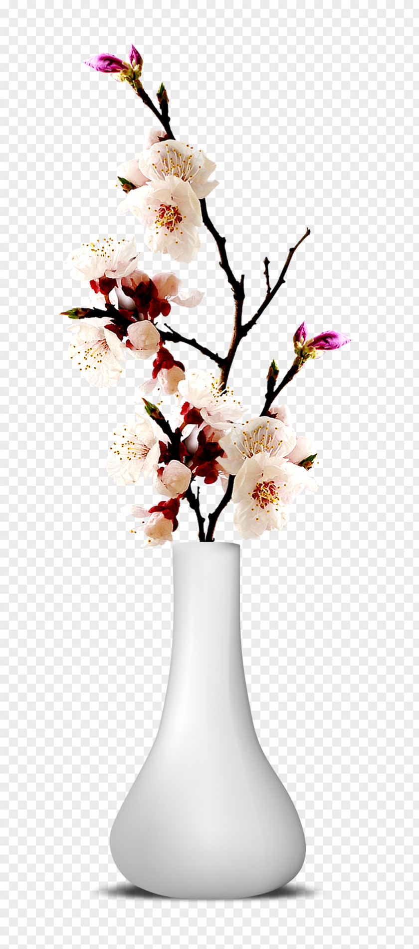 Flower Vase PNG