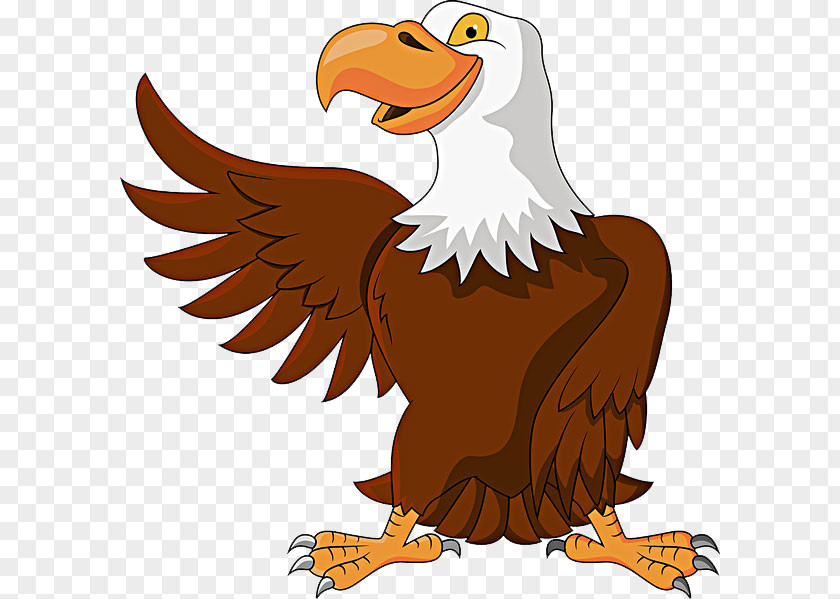 Big Nose Eagle Cartoon Illustration PNG
