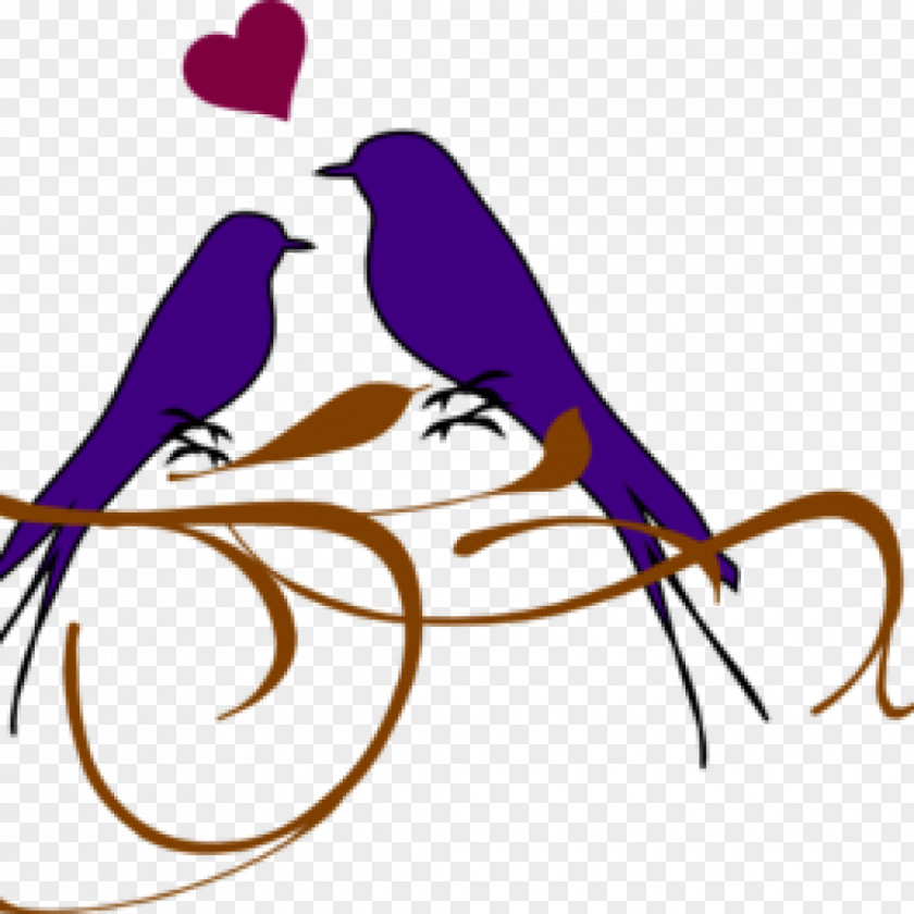 Bird Clip Art Lovebird Free Content Pigeons And Doves PNG