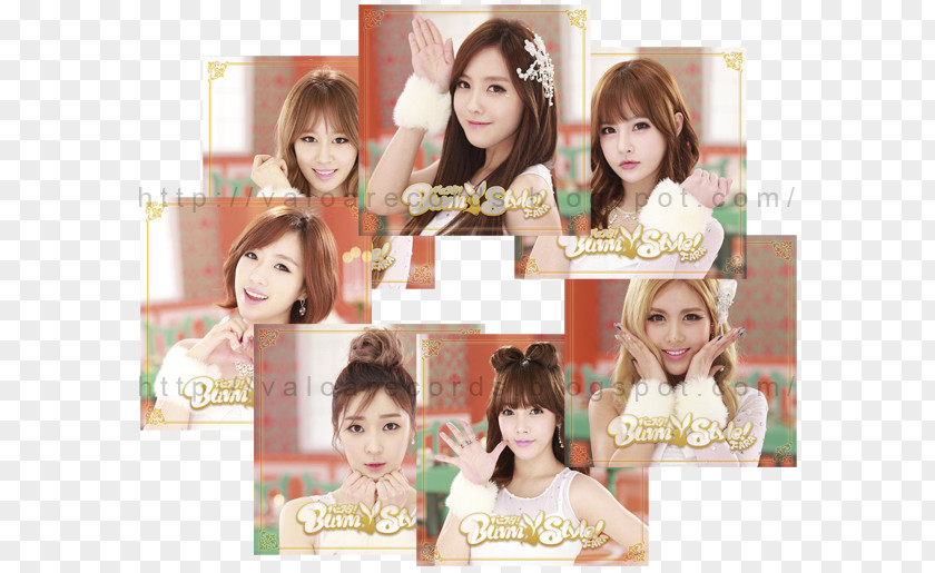 Bunny Style Style! Hair Coloring Long T-ara PNG