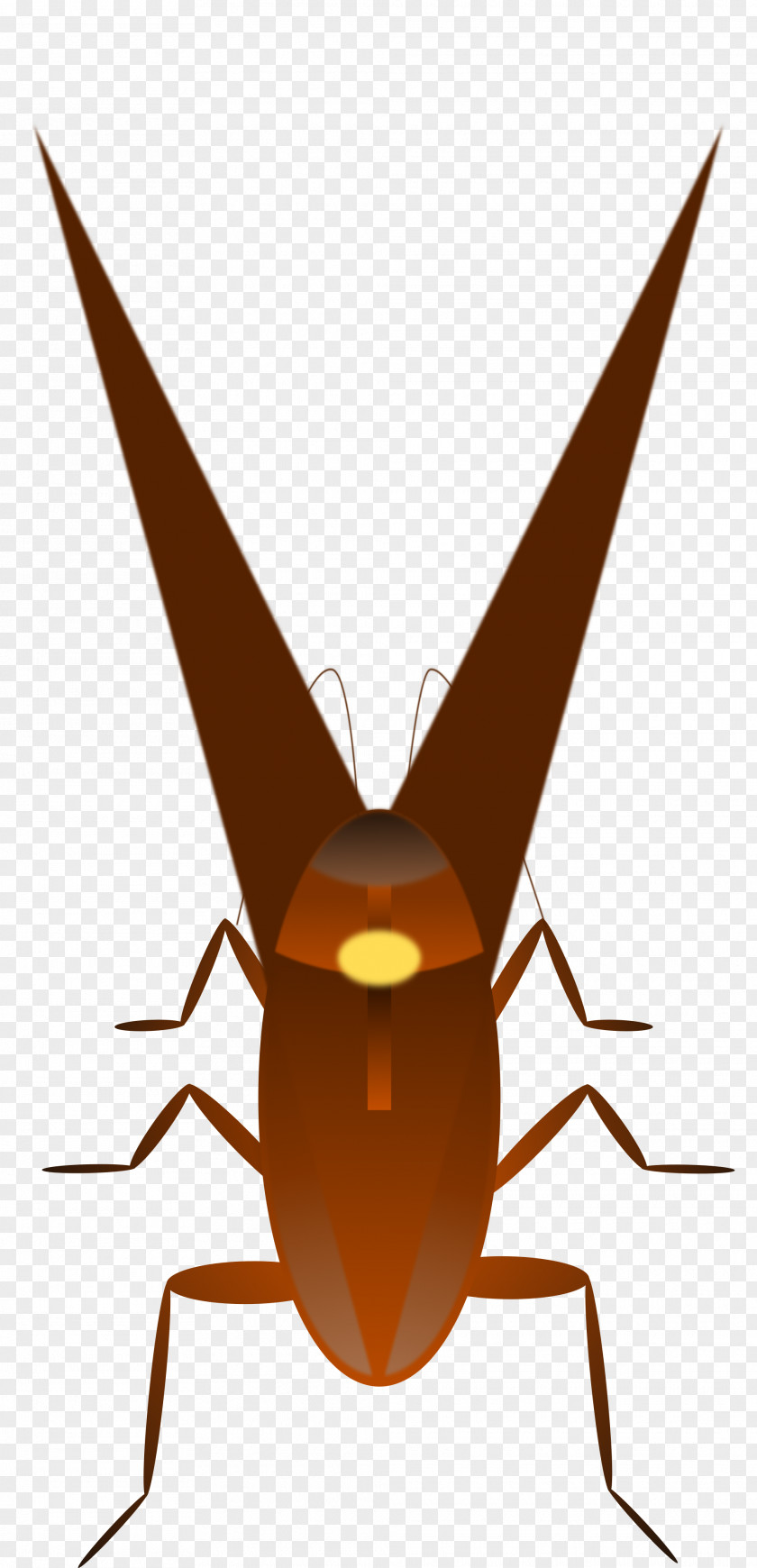 Cockroach Clip Art PNG