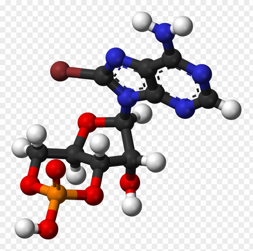 Cyclic Adenosine Monophosphate Triphosphate Nucleic Acid PNG