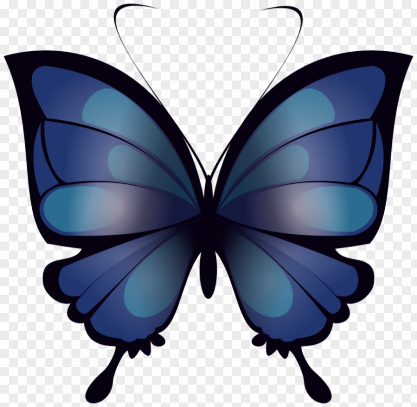 Fluttering Butterflies Butterfly Drawing Clip Art PNG