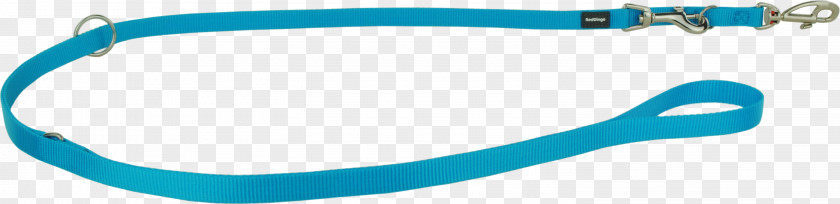Goggles Turquoise Dingo Glasses Leash PNG