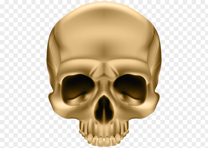 King Skull And Crossbones Decal Sticker Human Symbolism PNG