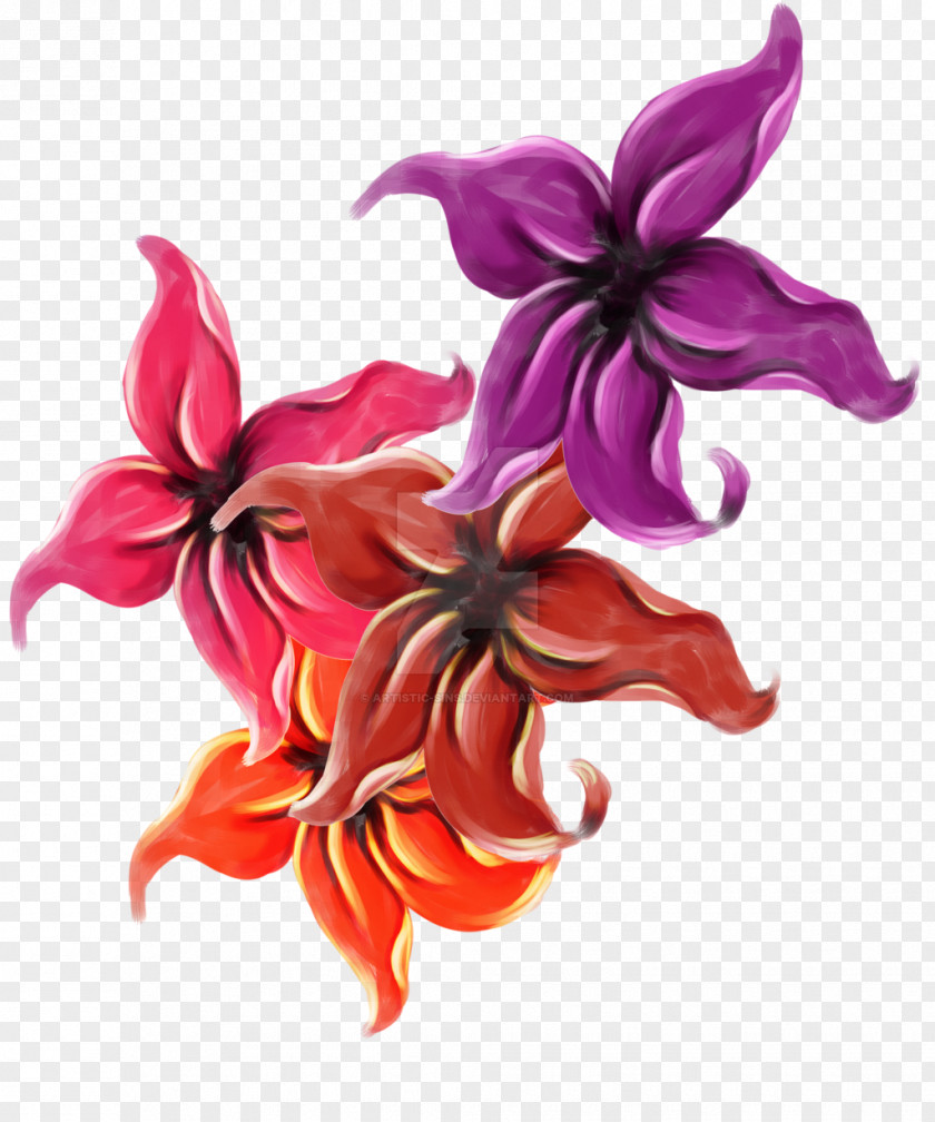 Lily Orange Cut Flowers Magenta Petal M PNG