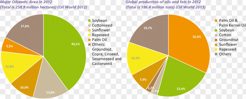 Oil Palm Brand Diagram Line PNG