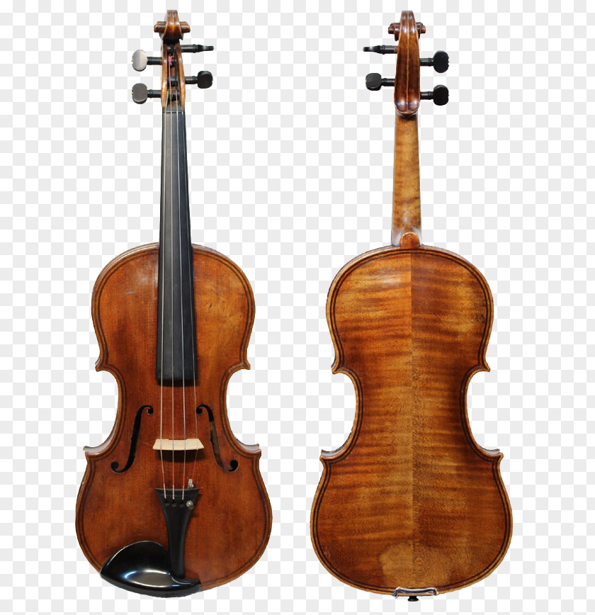 Violin Stradivarius Luthier Guarneri String Instruments PNG