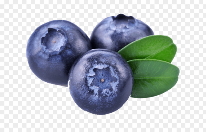 Blueberry Clip Art Image Fruit PNG