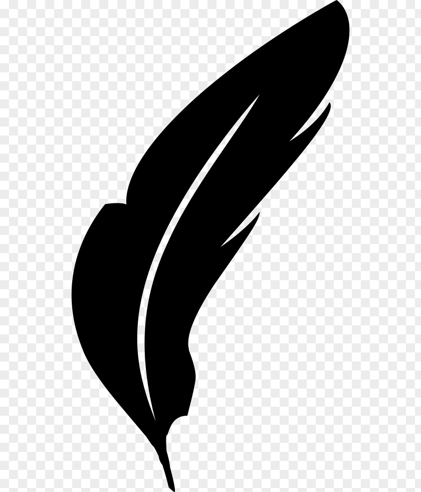 Feathers Icons Clip Art Spoken Word Poetry Literature PNG