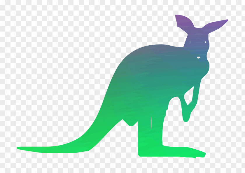 Kangaroo Vector Graphics Royalty-free Stock Illustration Image PNG