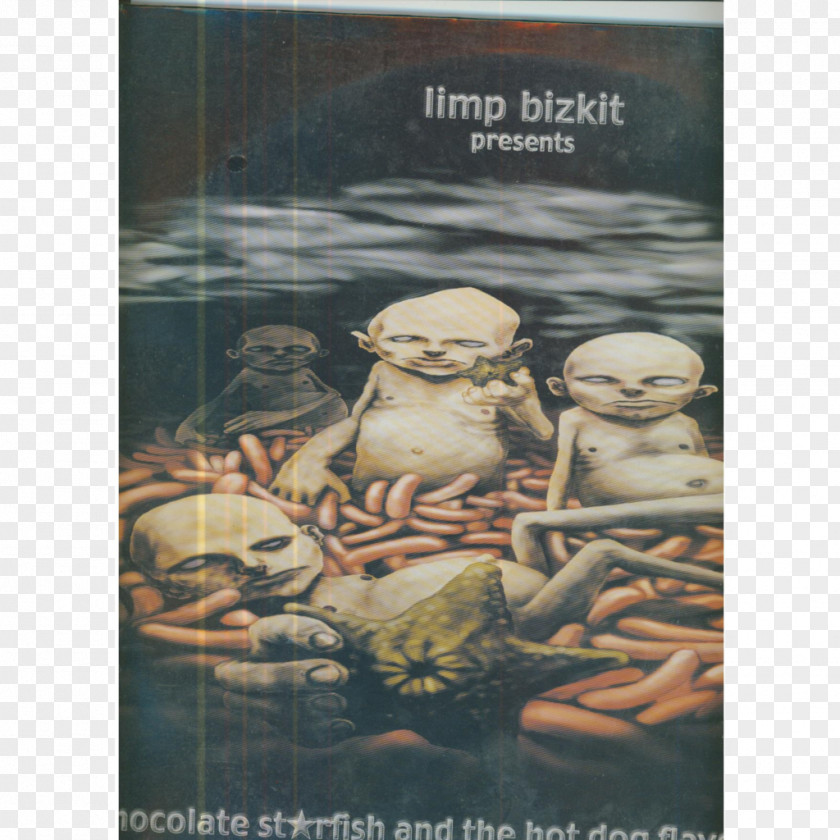 Limp Bizkit Chocolate Starfish And The Hot Dog Flavored Water New Old Songs Results May Vary PNG
