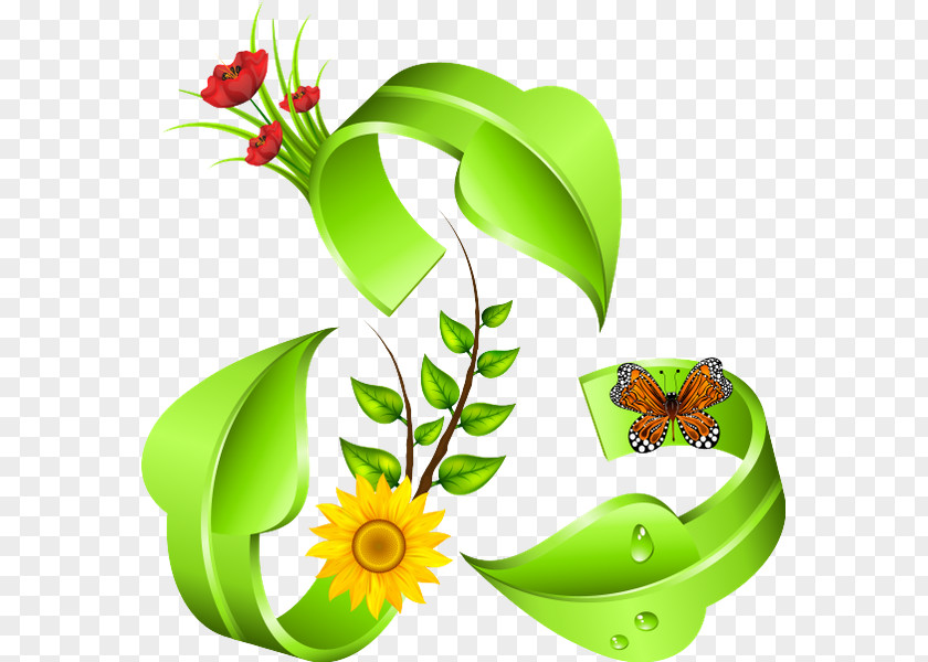 Natural Environment Environmental Protection Floral Design Movement Environmentally Friendly PNG