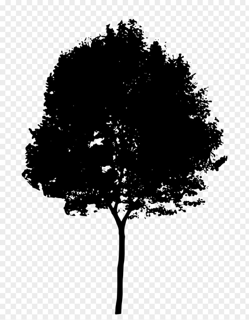 Natural Environment Silhouette Tree Clip Art PNG