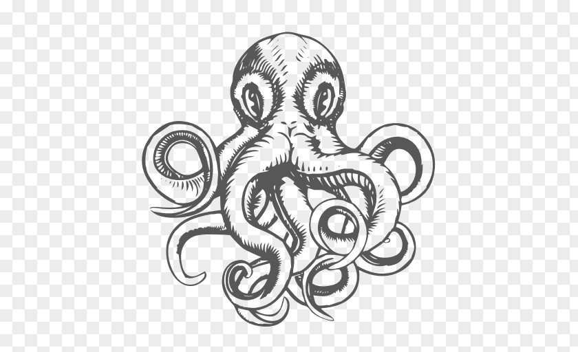 Octopus Drawing PNG