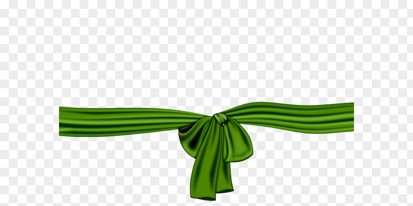 Ribbon Green Computer Software PNG