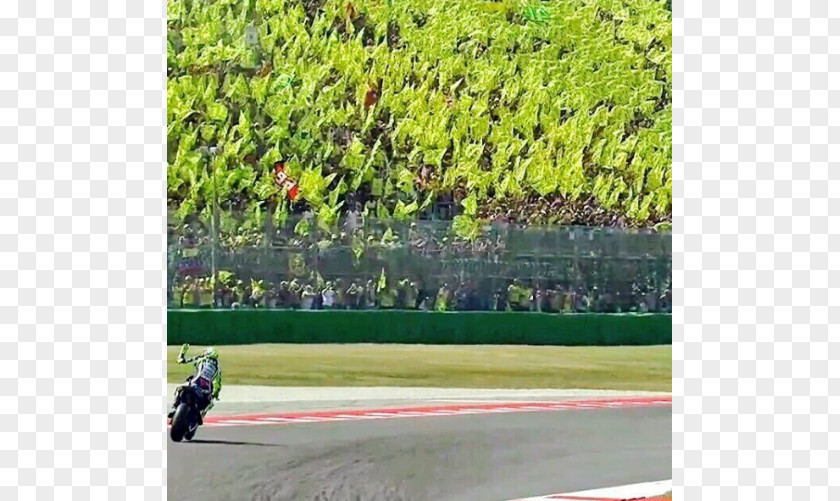 Valentino Rossi San Marino And Rimini's Coast Motorcycle Grand Prix MotoGP Misano Adriatico Yellow Tide PNG