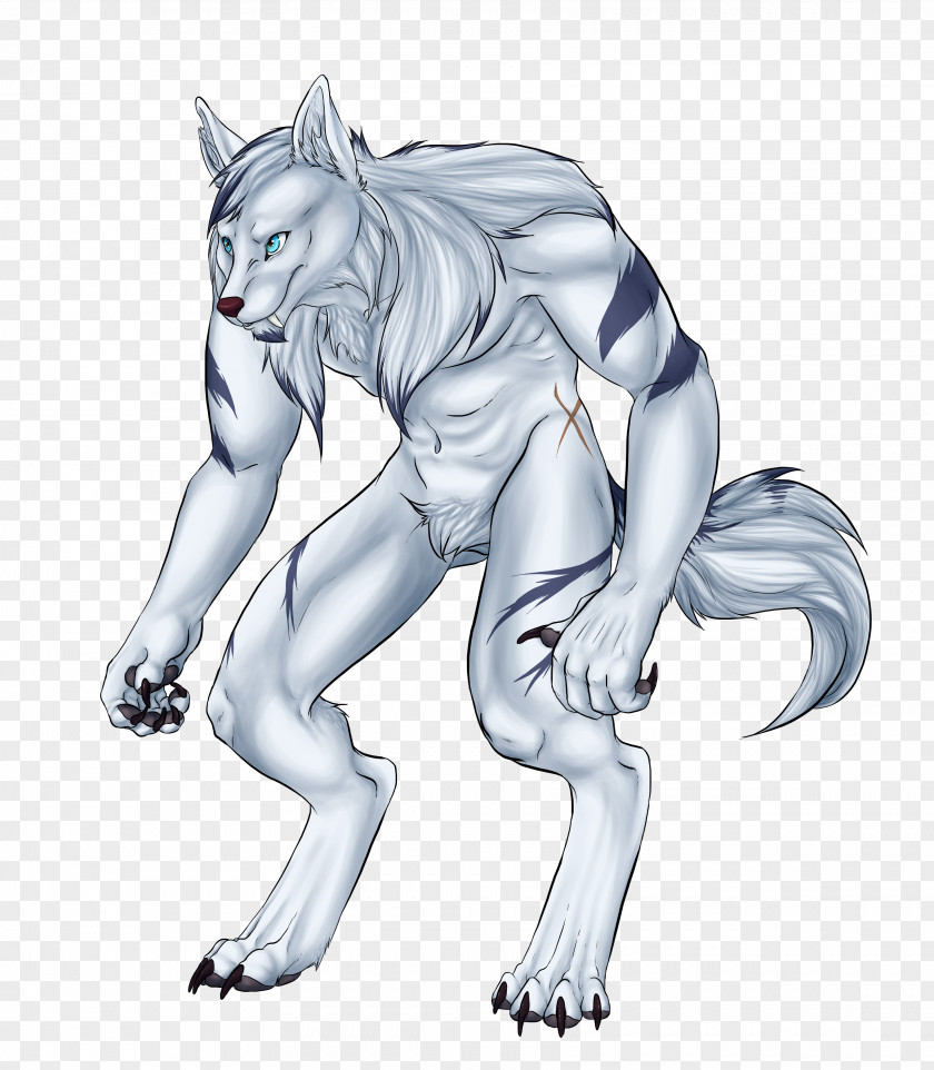 Werewolf Canidae Sketch Cat Illustration PNG