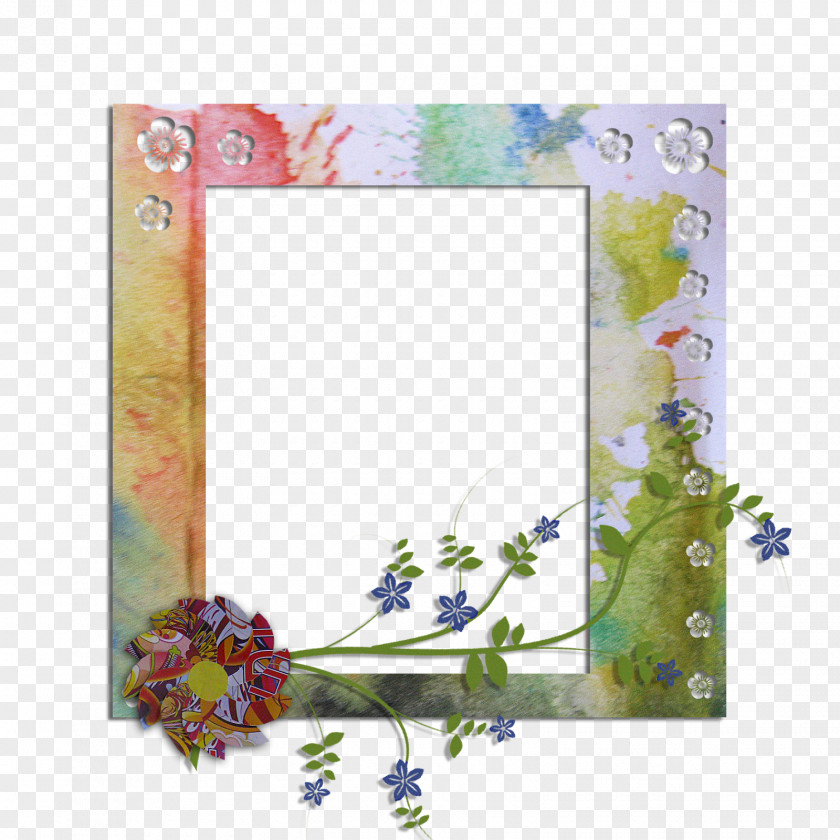 Design Floral Picture Frames Rectangle Petal PNG