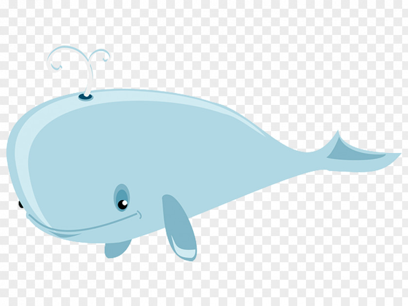 Dolphin Cetacea Blue Whale Clip Art PNG