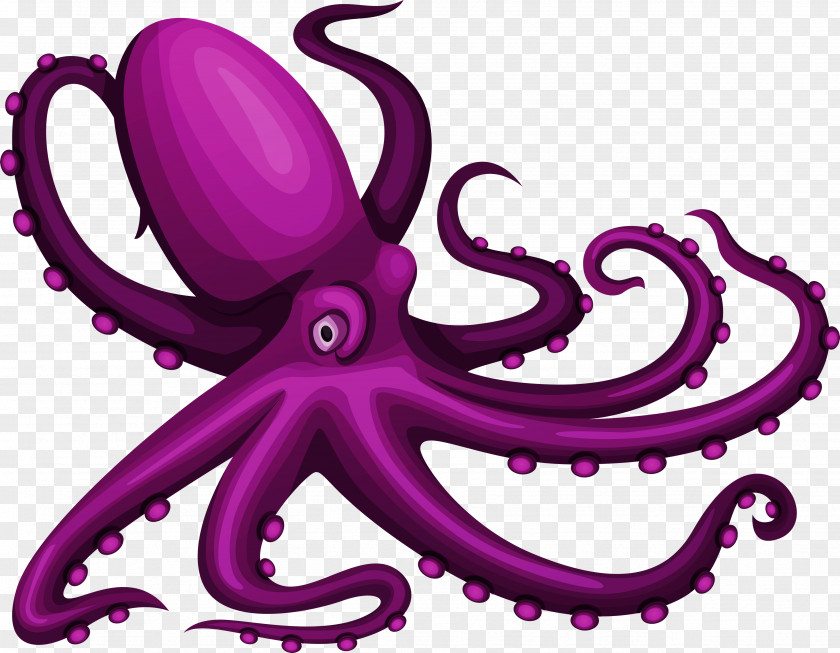 Octopus Jellyfish Marine Biology Seabed Starfish PNG