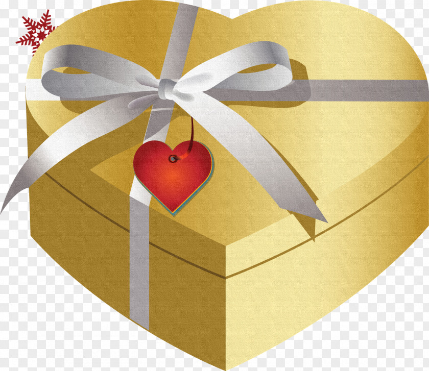 21 Christmas Gift New Year PNG
